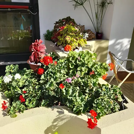 Carmen Viserba Hotel