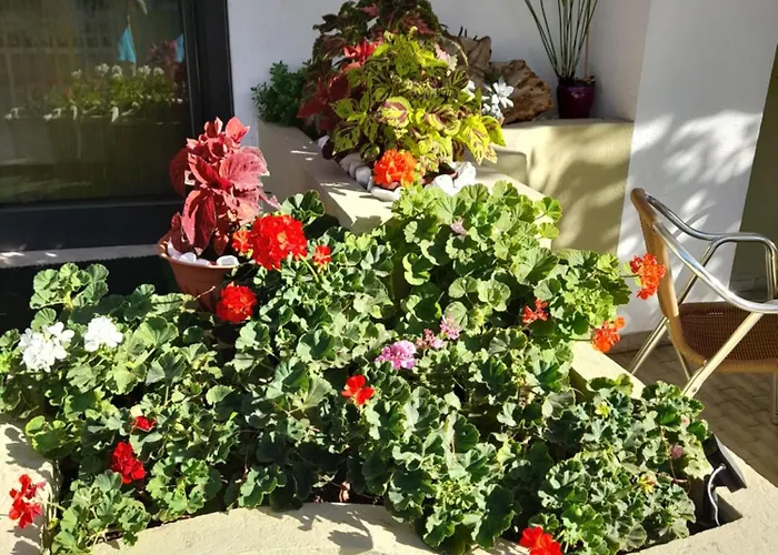 Carmen Viserba Отель