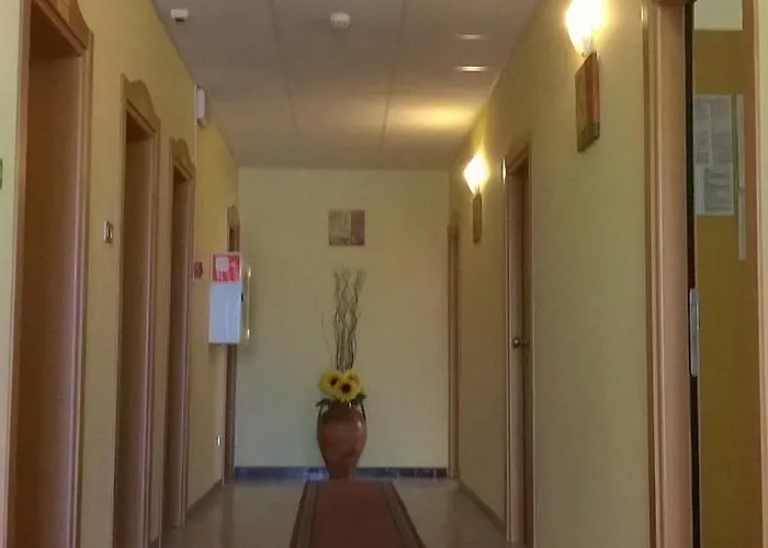 酒店 维塞尔巴卡门酒店