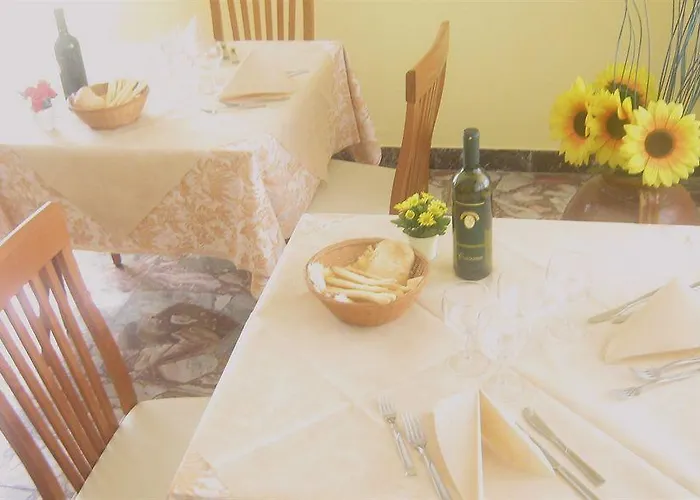 维塞尔巴卡门酒店 *